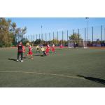 780x52005.ST  BSG-Schmiedeberg 01.10 (37).JPG